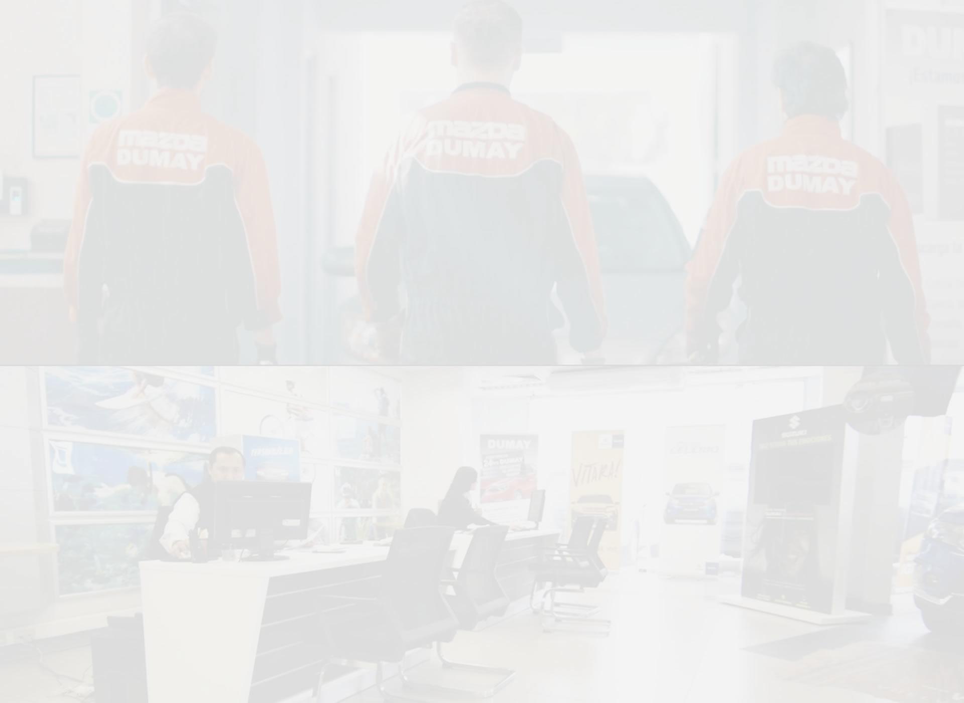 Nuestros Servicios